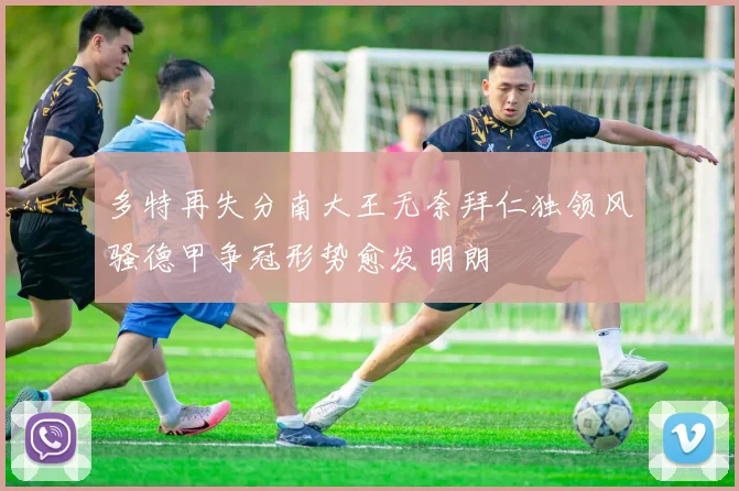 多特再失分南大王无奈拜仁独领风骚德甲争冠形势愈发明朗