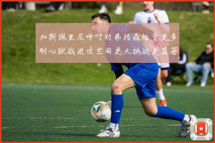 加斯佩里尼呼吁对弗格森给予更多耐心欧战进攻空间更大挑战更显著